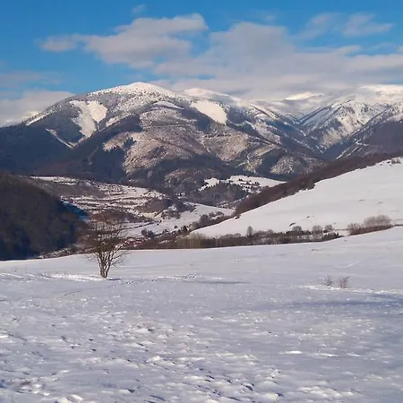 Encian * Mýto pod Ďumbierom