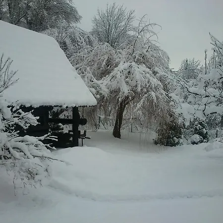 Encian * Mýto pod Ďumbierom